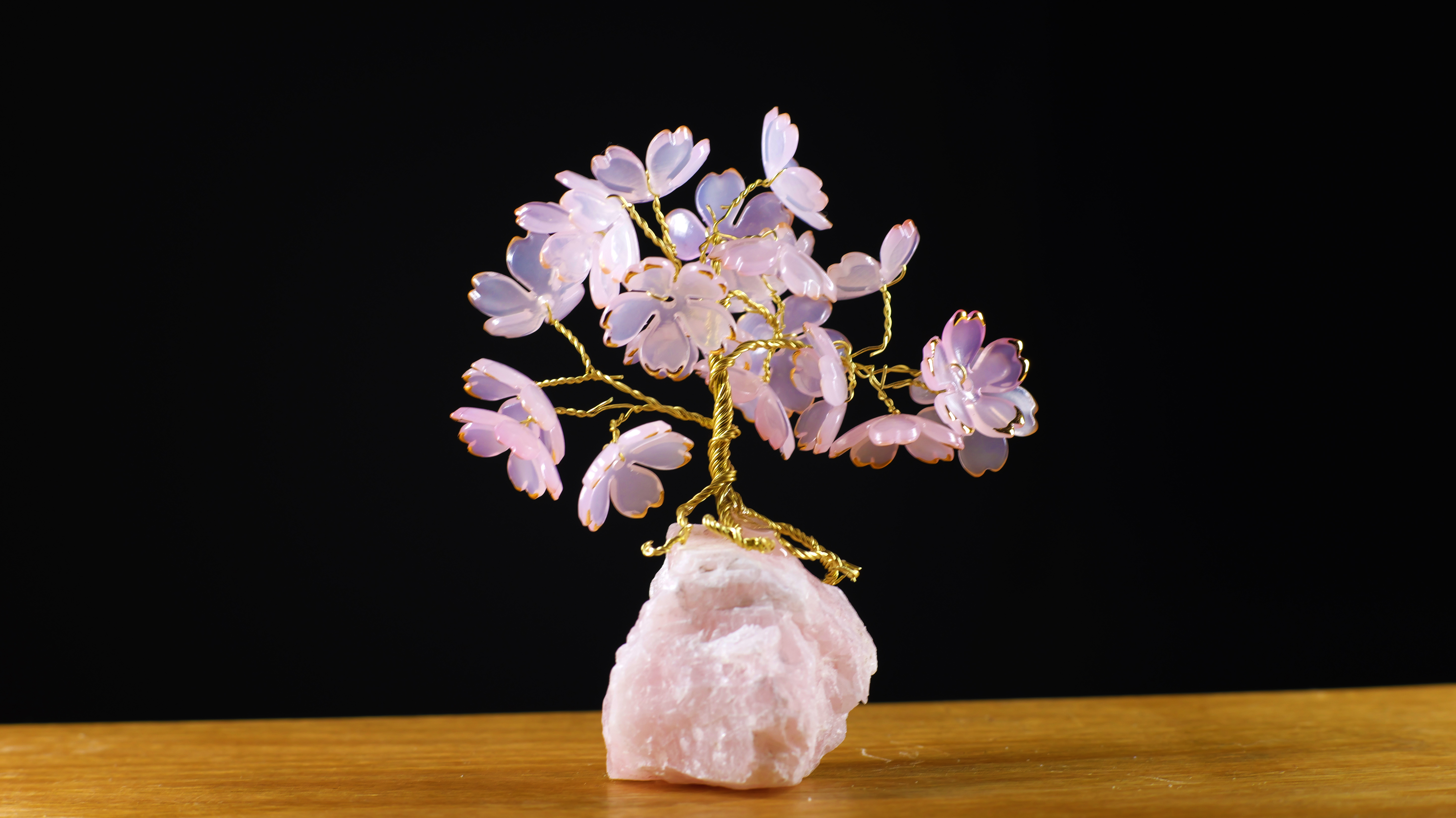 cherry blossom tree